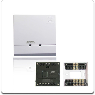 Bus type addressable fire alarm systems input/output module