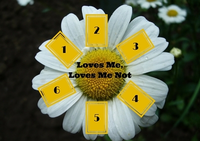 Loves Me, Loves Me Not