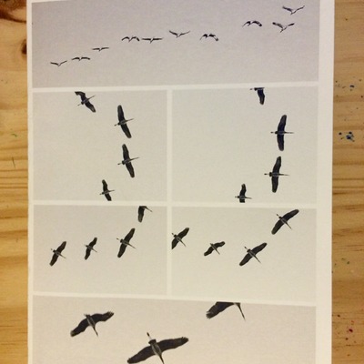 Sky full of cranes