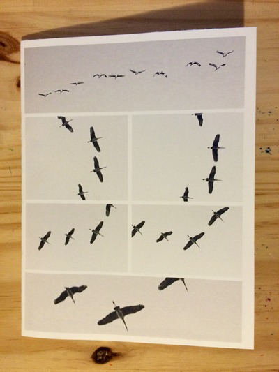 Sky Full of Cranes