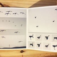 Sky Full of Cranes - Thumbnail 1