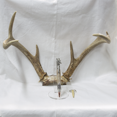 Antler Bolt Action Pen