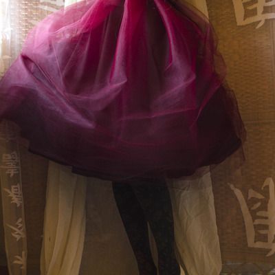Tulle skirt