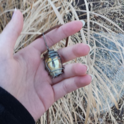 Tiger's eye necklace (flat)