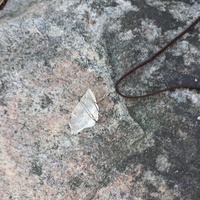 Small Clear Quartz Pendant - Thumbnail 1