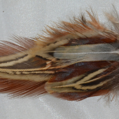 Custom feathered hair clips