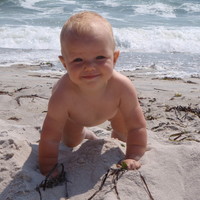 "Ladybug Wishes" Fairy Dust - Thumbnail 3