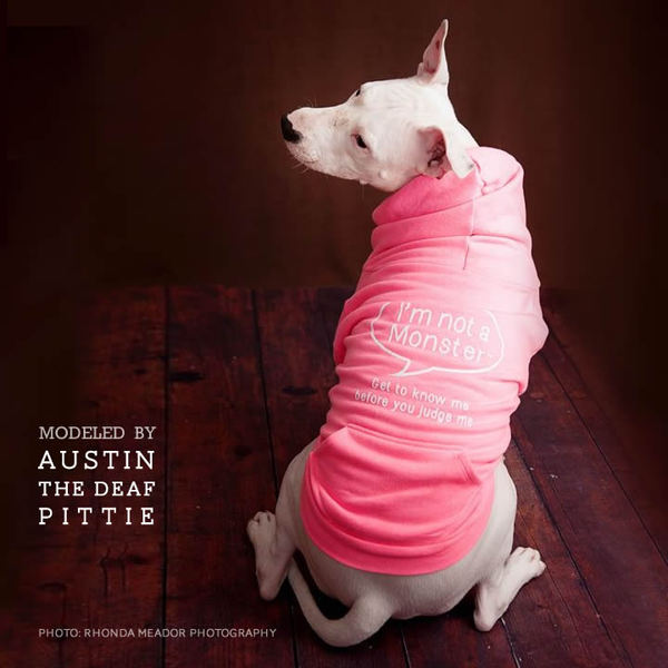 MONSTER DOGGIE HOODIE - PINK