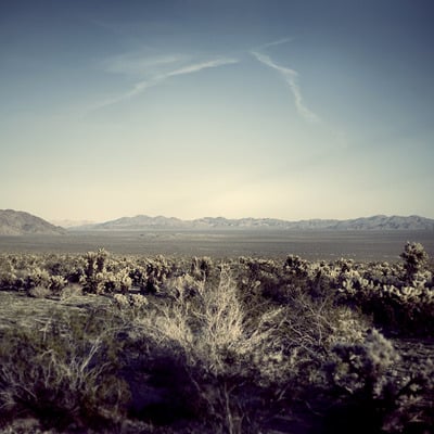 Ghosts: joshua tree, ca 01. large print (22" x 17") [limited stock]