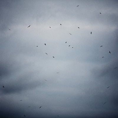 Kinross, scotland, 2009 large print (22" x 17")