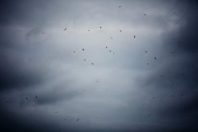 Kinross, Scotland, 2009 large print (22" x 17")