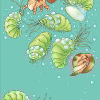 The Fox & The Ohmu - Print