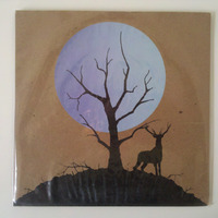 Auryn / Bosque split 7" - Thumbnail 1