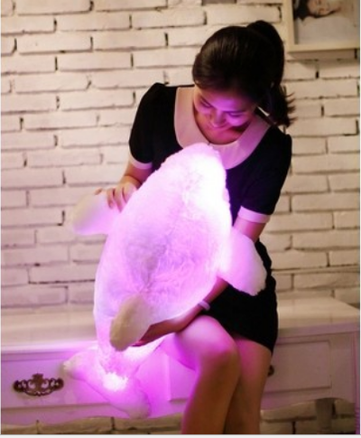 Colorful light music Dolphins doll plush toy doll