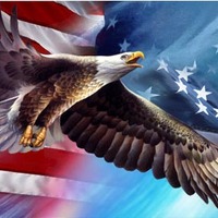 Bald Eagle & American Flag Pen - Thumbnail 1