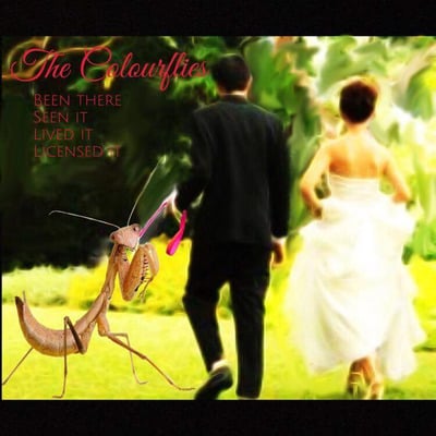 The colourflies "been there, seen it, lived it, licensed it" cd - Thumbnail 3