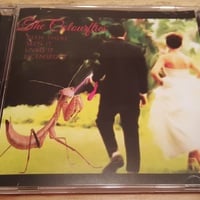 The Colourflies "Been There, Seen It, Lived It, Licensed It" CD - Thumbnail 3