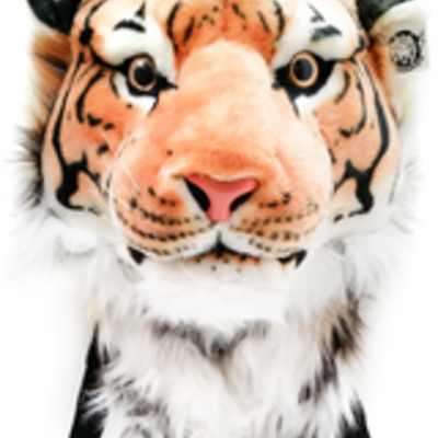 Orange bengal tiger backpack