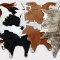 FREE SHIPPING Large Brazilian chocolate brown and white. ..stunning  - Thumbnail 2