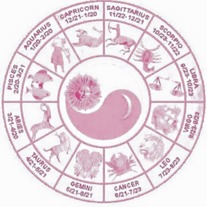 Birth Chart
