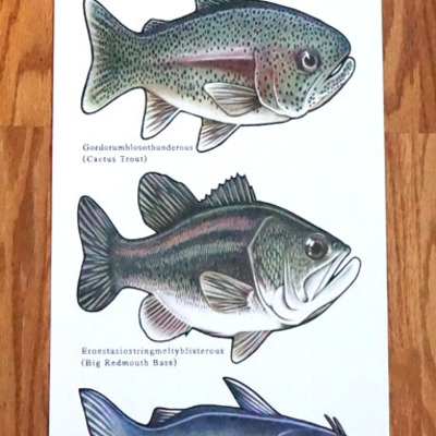 Phish fishes of vermont 2015 edition print - Thumbnail 2