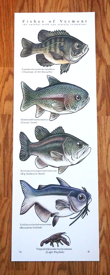 Phish Fishes of Vermont 2015 Edition Print