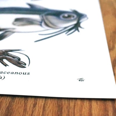 Phish fishes of vermont 2015 edition print