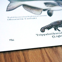 Phish Fishes of Vermont 2015 Edition Print - Thumbnail 2