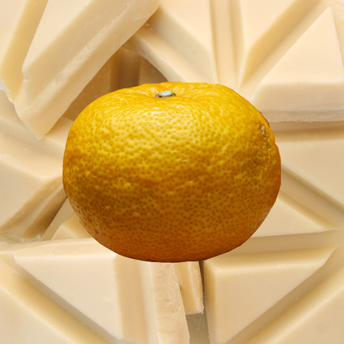White Chocolate Yuzu Bonbons [PERFUME]- Sample Vial