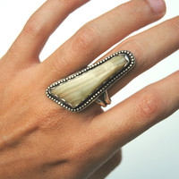 Giant Agate - Thumbnail 2