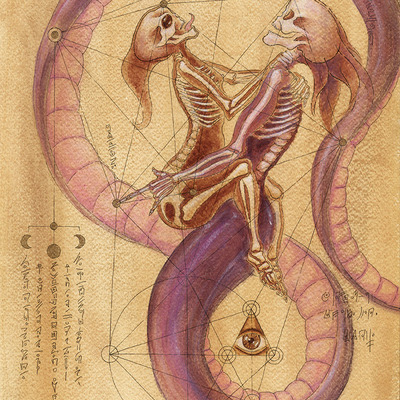 Serpent sexual-page from the book of gosh
