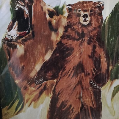 Grizzly bears 5x7 print