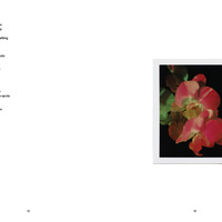 Sarah Rara — Earth Breakup - Thumbnail 1