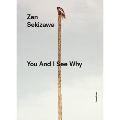 Zen sekizawa — you and i see why