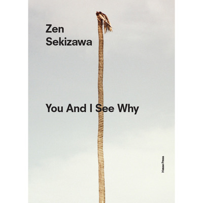 Zen Sekizawa — You And I See Why