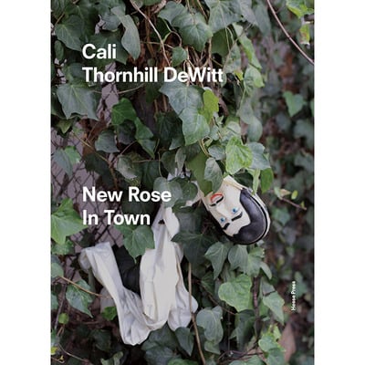 Cali thornhill dewitt — new rose in town