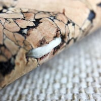 Cusses (Pinot Gwar) - Thumbnail 3