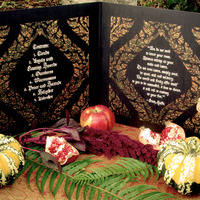 Ekstasis - "The Book of Longing" Double LP - Thumbnail 2