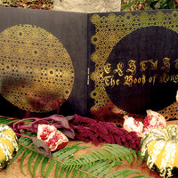 Ekstasis - "The Book of Longing" Double LP - Thumbnail 3