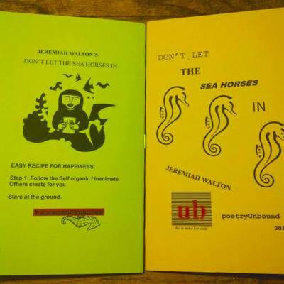 Don't let the sea horses in