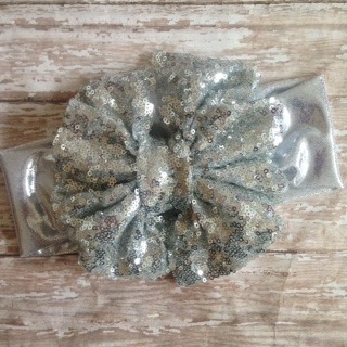 Silver Sequin