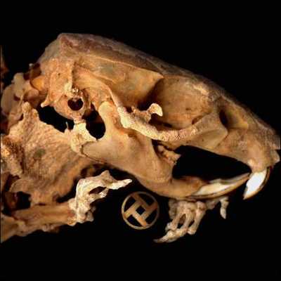 Rot in hell "as pearls before swine"