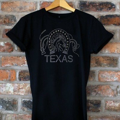 Horseshoe texas
