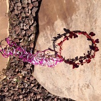 Cupid's Halo - Thumbnail 1