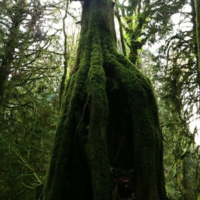 Fearthainne - "knowing" cd