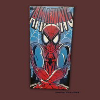 Spiderman painted canvas