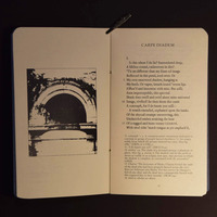 Carpe Diadem - Thumbnail 1