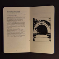 Carpe Diadem - Thumbnail 2