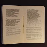 Carpe Diadem - Thumbnail 3