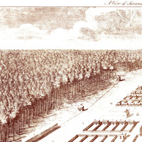 Savannah, Georgia in 1734 - Bird's Eye View, Aerial, Panorama, Vintage, Antique, Reproduction, Giclée, Fine Art, Wall Art, History - Thumbnail 2